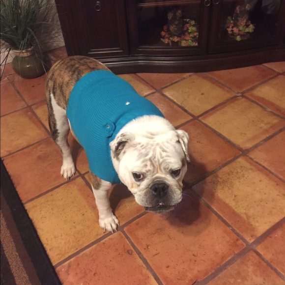 My priceless babies! - Picture 3 of 4